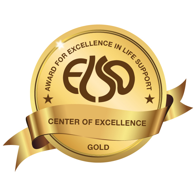 graphic shows small round gold badge with the words "Center of Excellence"