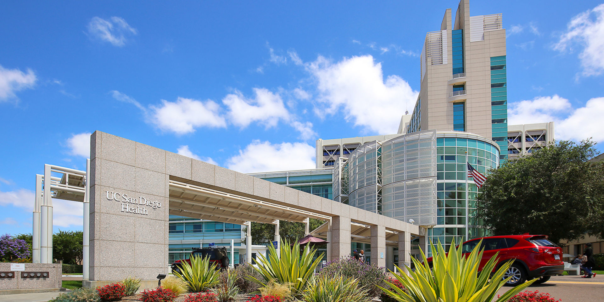 More than 100 UC San Diego Health physicians have been named “Top Docs” in the 2022 San Diego Magazine “Physicians of Exceptional Excellence” survey, an annual opportunity for doctors across the county to vote for their much respected and admired colleagues.