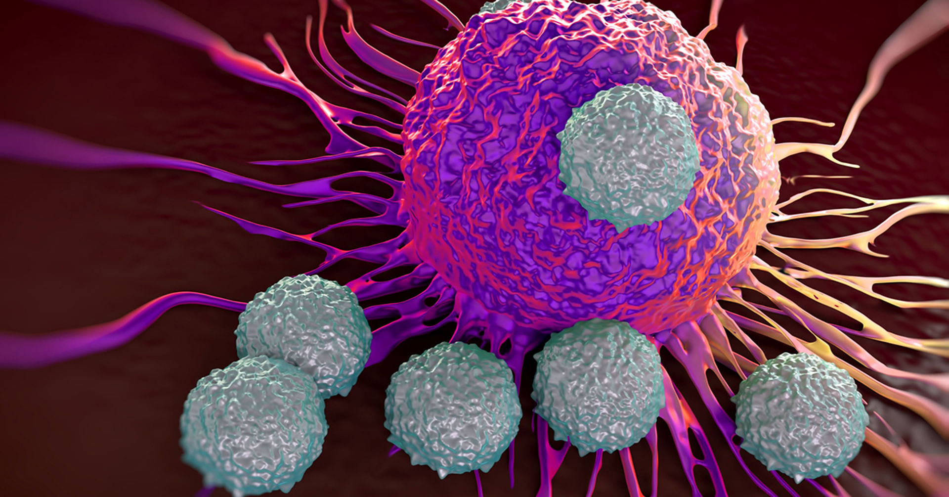 Illustration of a T-cell attacking cancer cells. Photo credit: Getty Images